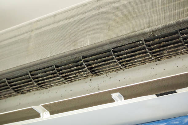 Best Professional Duct Cleaning Services  in Blue Ridge, TX